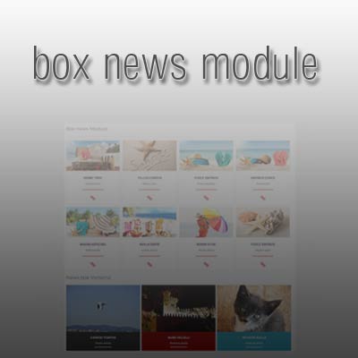 News box